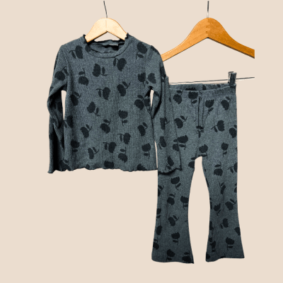 Conjunto Zara 4-5 años  26064141