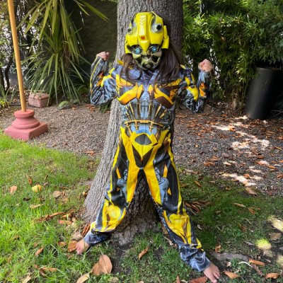 Disfraz Fiesta&regalos 7-8 años 2501427 - NUEVO1