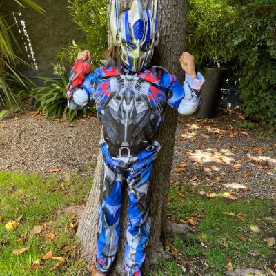 Disfraz Fiesta&regalos 7-8 años 2501438 - NUEVO2