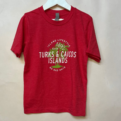 Polera Next 4-5 años 24112341