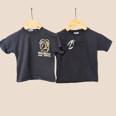 2 Poleras Zara 2 años 2608164