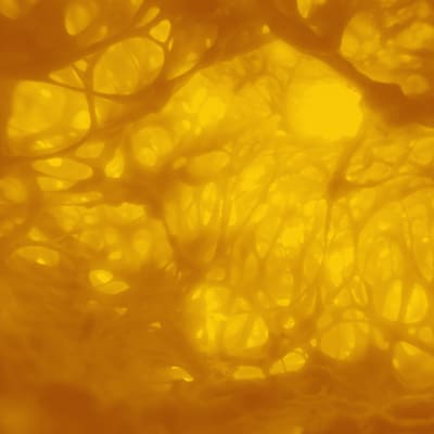 The Slow Voyage - Soul´s Whisper (Vinilo)1