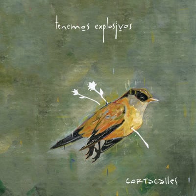 Tenemos Explosivos - Cortacalles (Vinilo 2LP)1