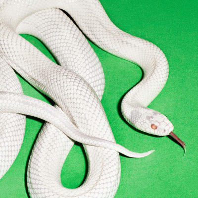 Deftones - Private Music (Vinilo)1