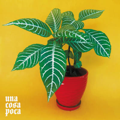 Cristóbal Briceño - Una Cosa Poca (CD)1