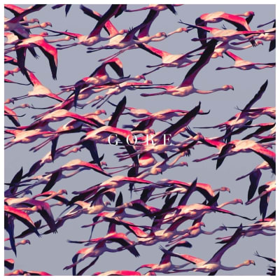 Deftones - Gore (CD)1