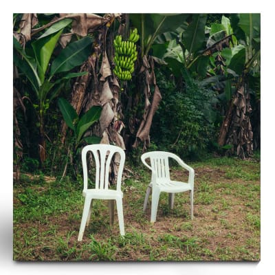 Bad Bunny - DeBÍ TiRAR MáS FOToS (Vinilo Blanco) (PREVENTA)1