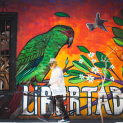 Mauricio Redolés - Quiero Seguir Continuando (CD)