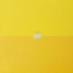 Gustavo Cerati - Amor Amarillo (Vinilo 2LP)