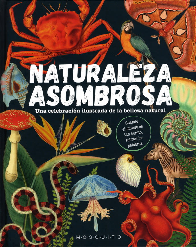 NATURALEZA ASOMBROSA1