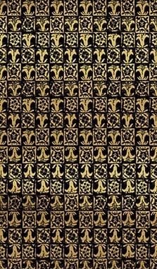 TAROT RIDER WAITE GOLD & BLACK  EDITION5