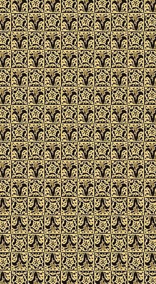 TAROT RIDER WAITE BLACK & GOLD EDITION5