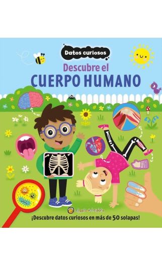 DATOS CURIOSOS - CUERPO HUMANO1