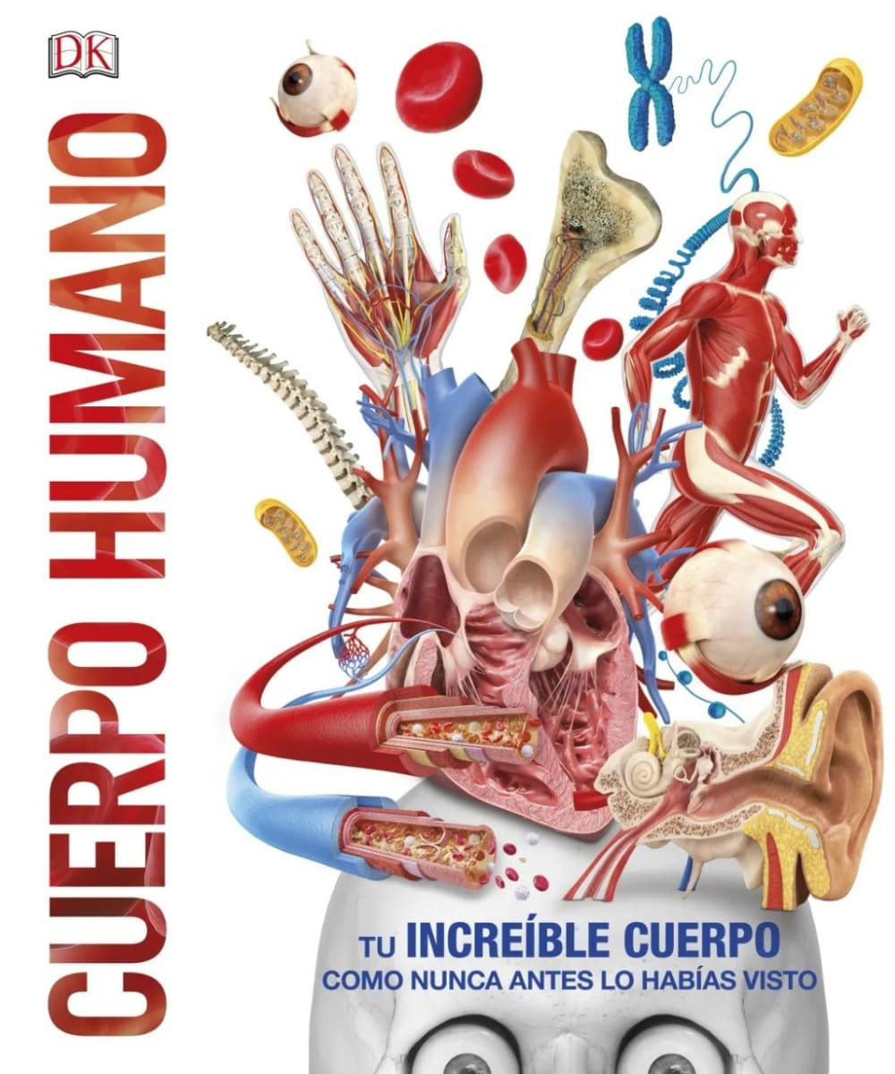 CUERPO HUMANO1