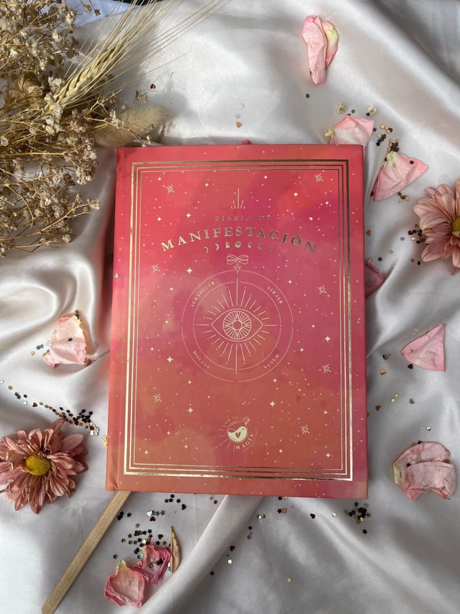DIARIO DE MANIFESTACIÓN ROSA1