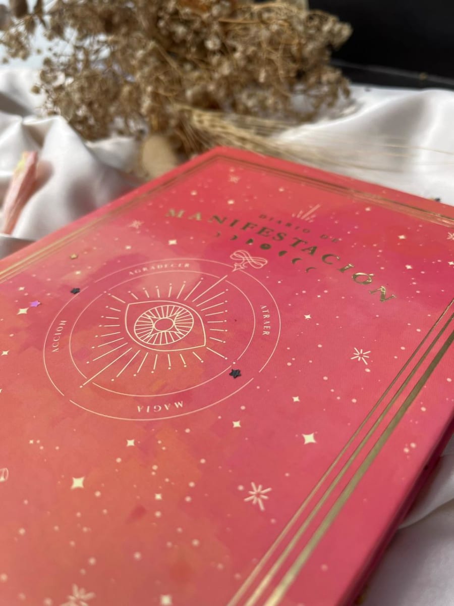 DIARIO DE MANIFESTACIÓN ROSA2