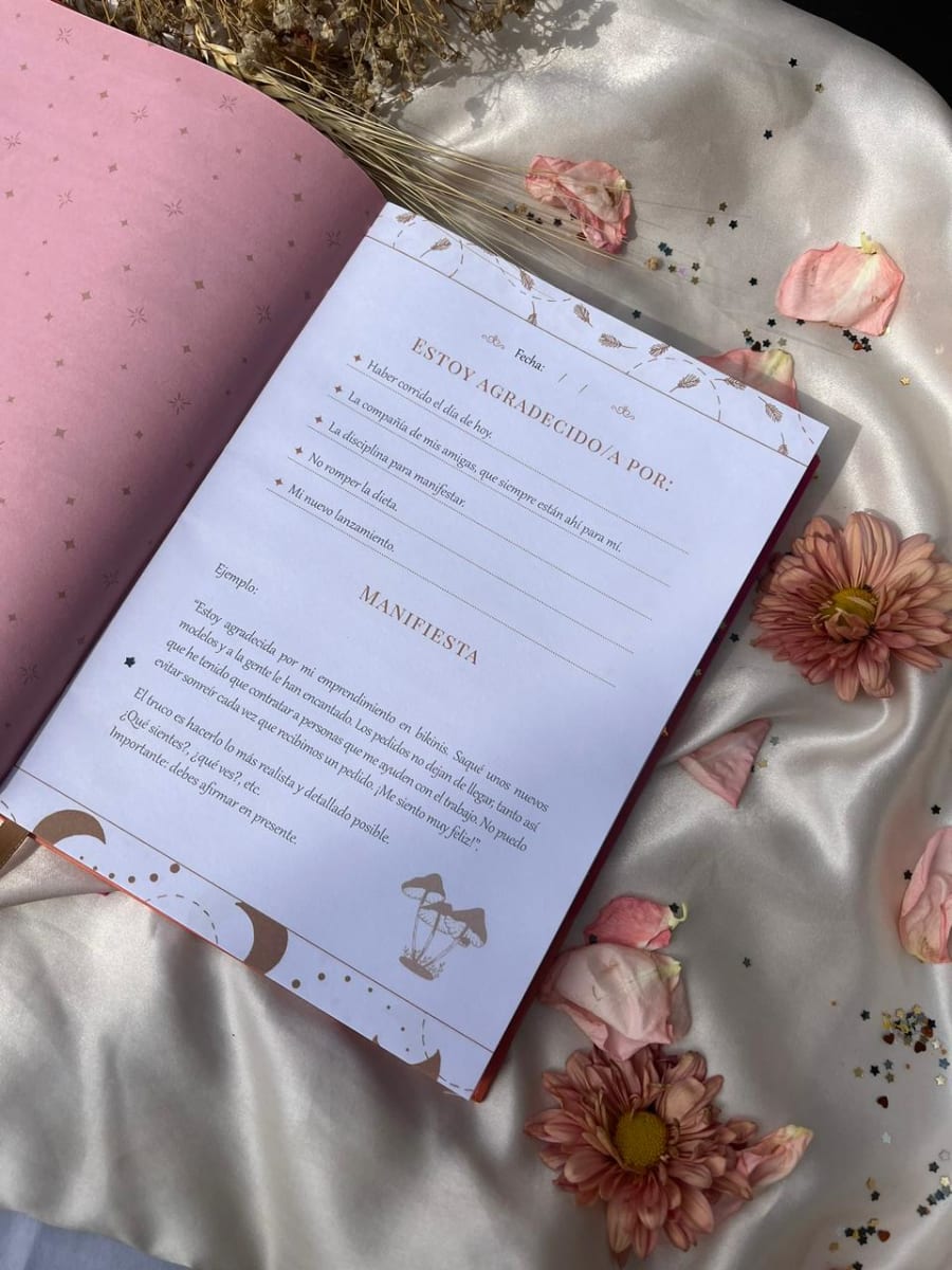 DIARIO DE MANIFESTACIÓN ROSA4