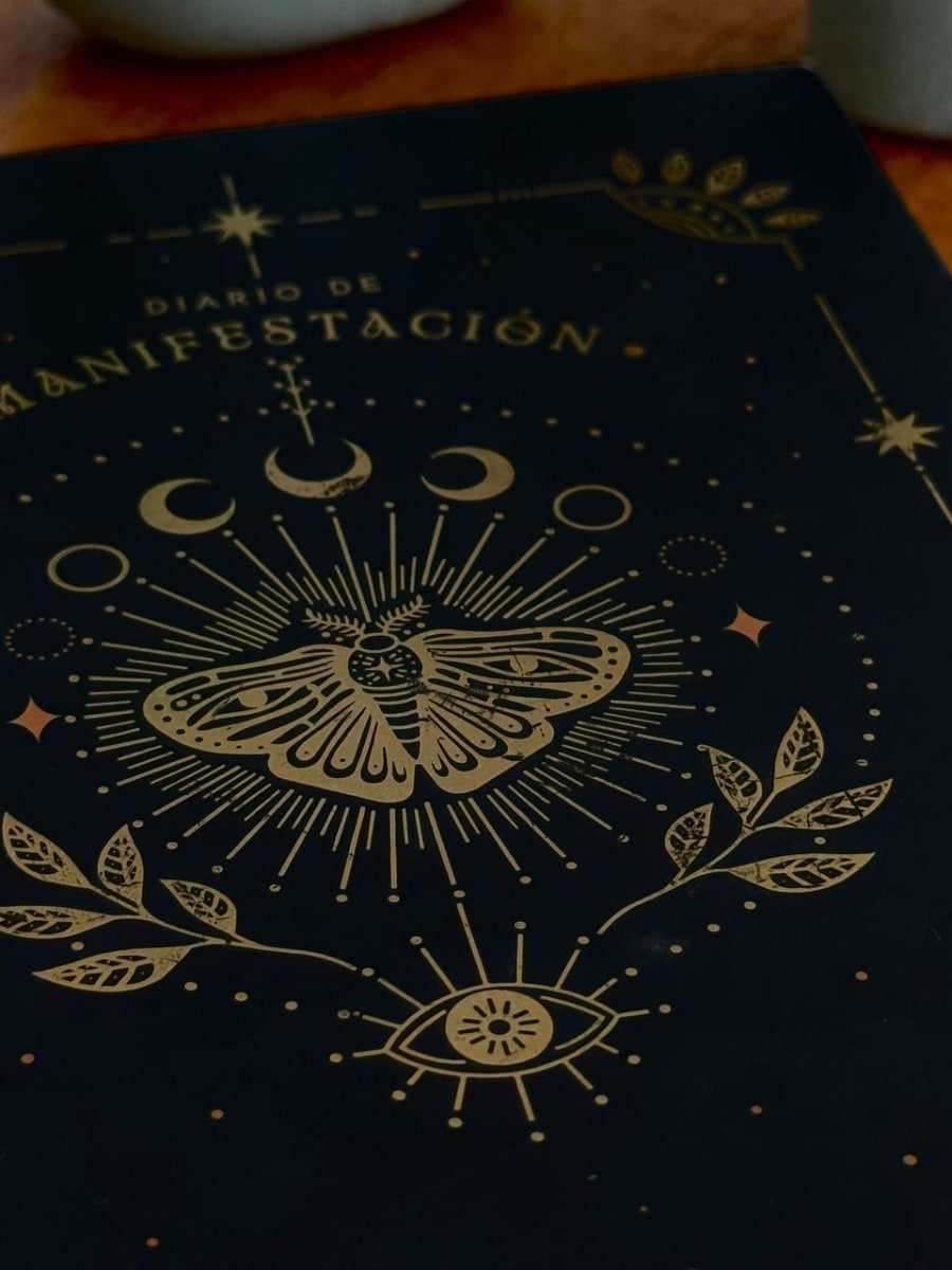 DIARIO DE MANIFESTACIÓN  VOL.23