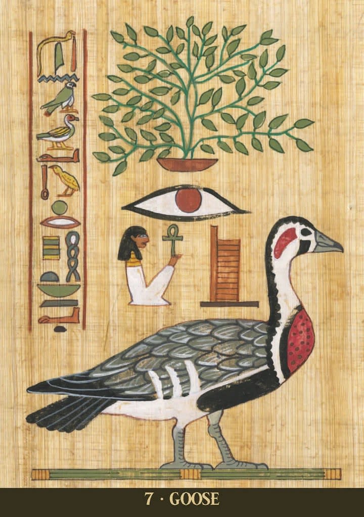EGYPTIAN SACRED ANIMALS TAROT3
