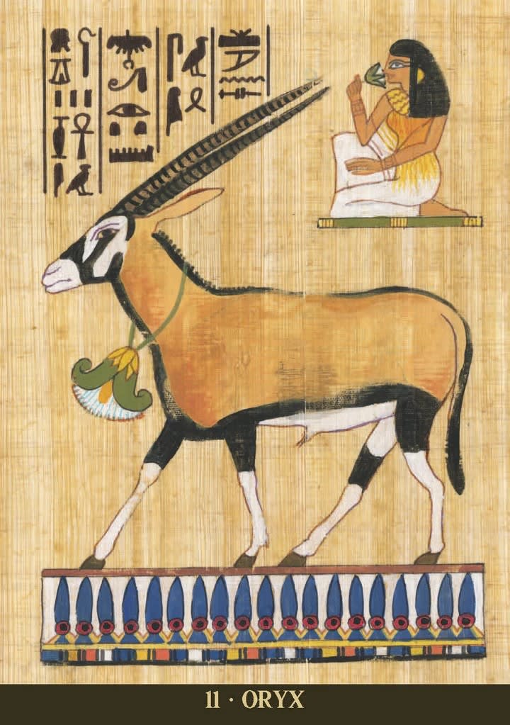 EGYPTIAN SACRED ANIMALS TAROT4