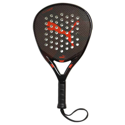 Pala Puma Solar Court