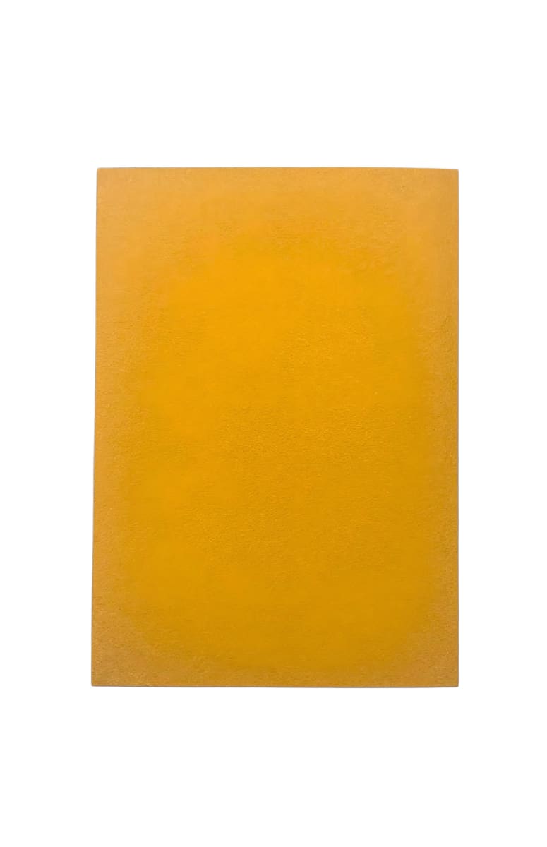 Protector Zero Mulligan Standar - Color Amarillo2