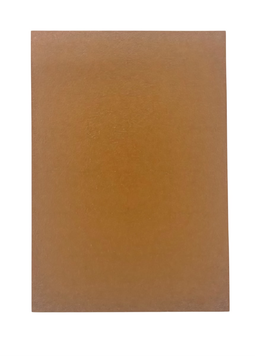 Protector Zero Mulligan Standar - Color Dorado2