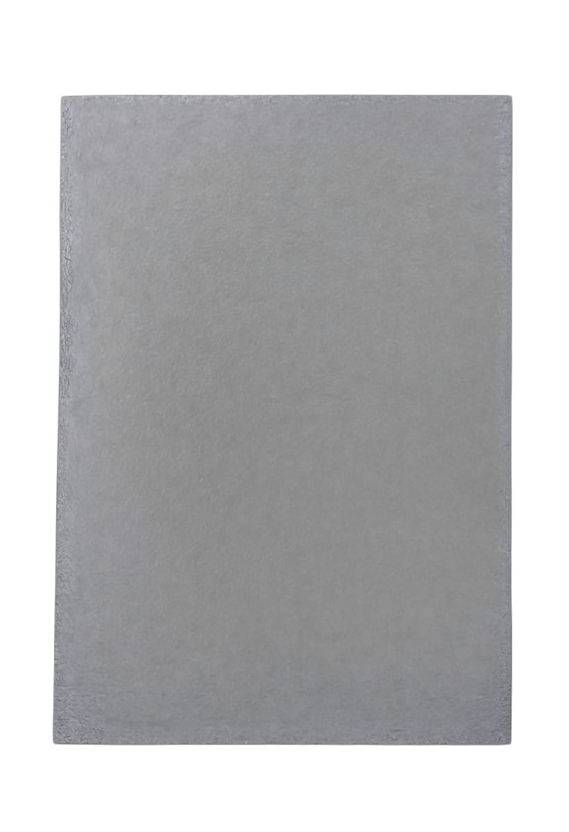 Protector Zero Mulligan Japanese - Color Silver2