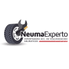 Neumaexperto