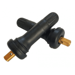 Valvula Porta Sensor tpms10 goma