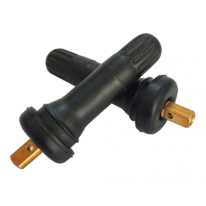 Valvula Porta Sensor tpms10 goma1