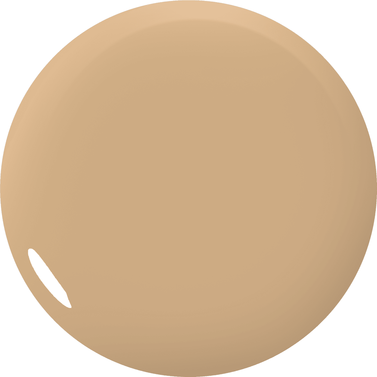 Color Gel 213 Snail BeU6