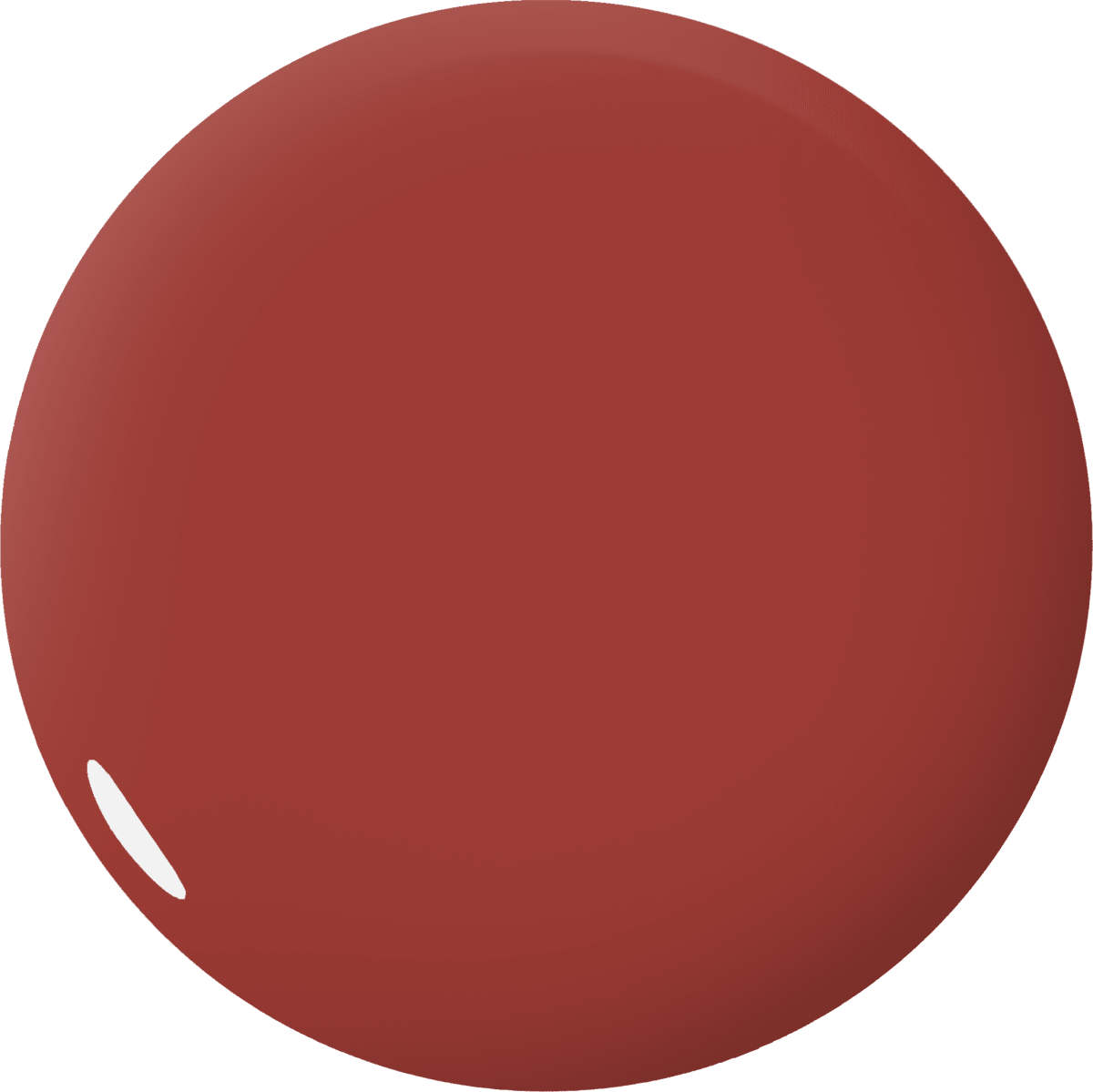 Color Gel 220 Terracotta BeU3