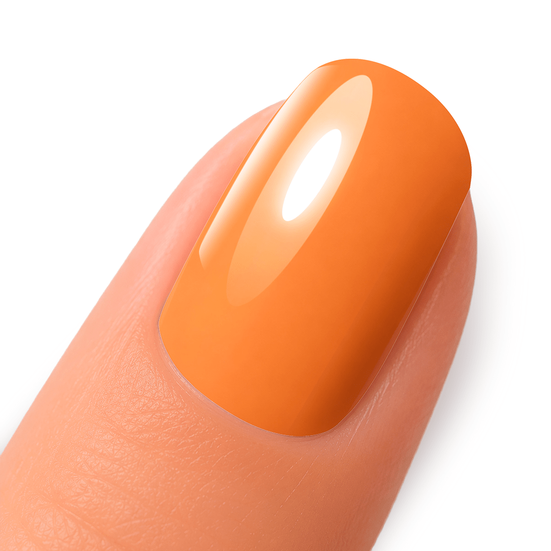 Color Gel 207 Brick BeU4