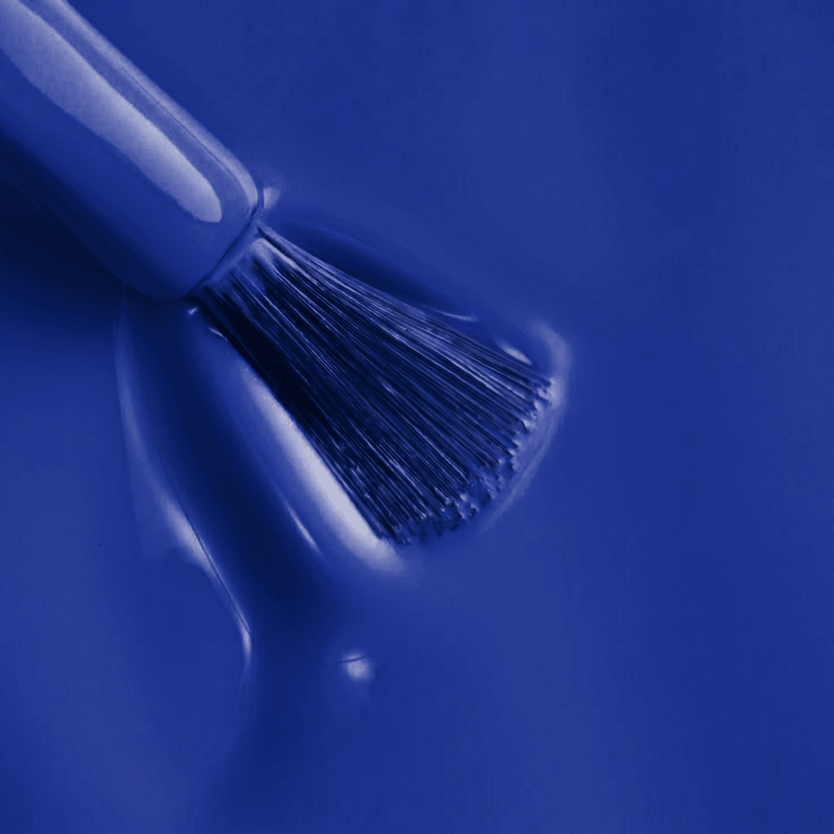 Color Gel 219 Sea BeU3