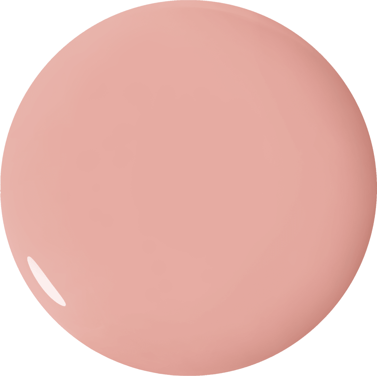 Color Gel 117 Nude Creamy Rose BeU2