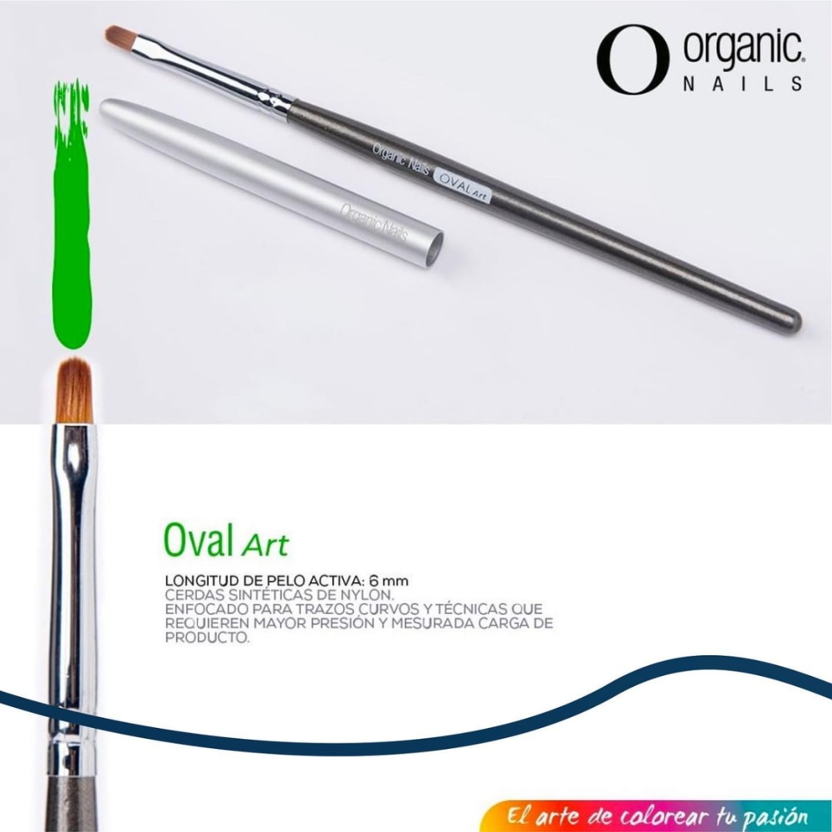 PINCEL OVAL ART1