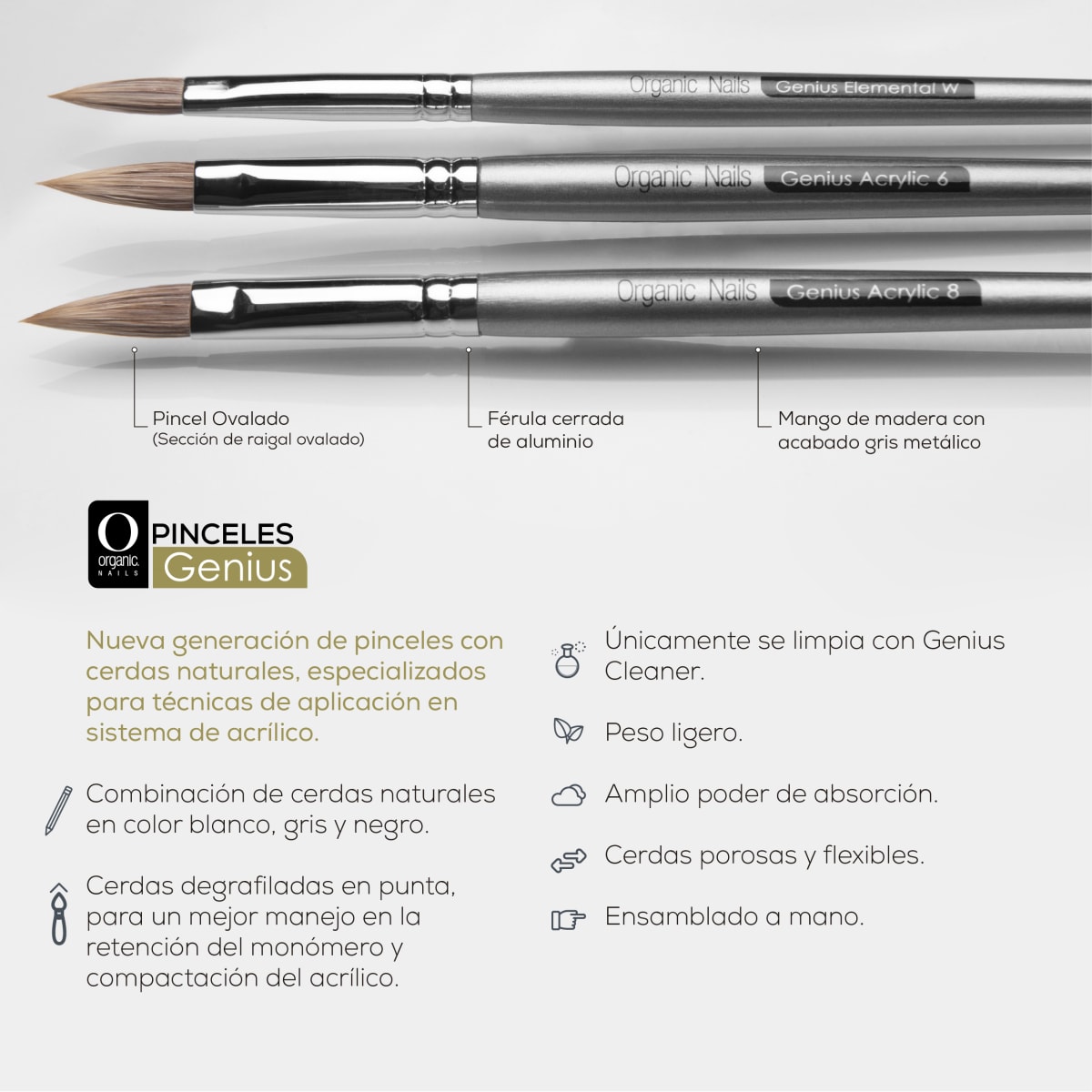PINCEL GENIUS ACRYLIC 6 W2