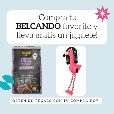 Pack Belcando Gf senior 4 Kg +juguete BRNX Flamenco1