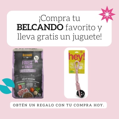 Pack Belcando +juguete bola