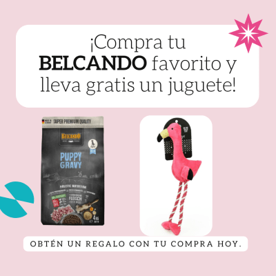 Belcando Puppy 4 kg+ juguete BRNX Flamenco1