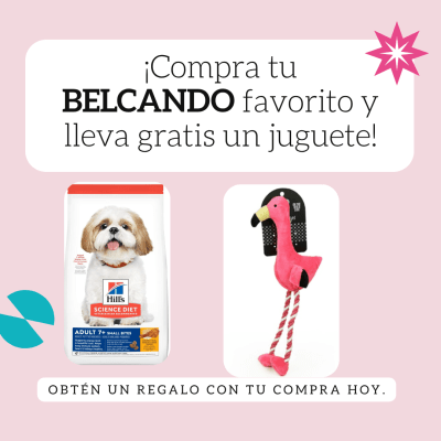 Pack Hill's adulto+7  6,8 Kg +juguete flamenco plush BRNX1