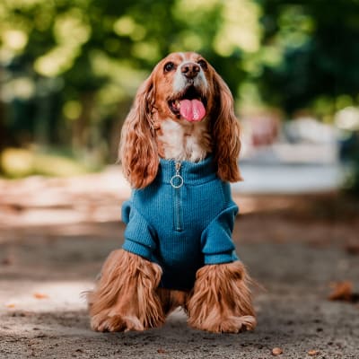 Sweater lanilla color azul Talla 2 (5-7 Kg)
