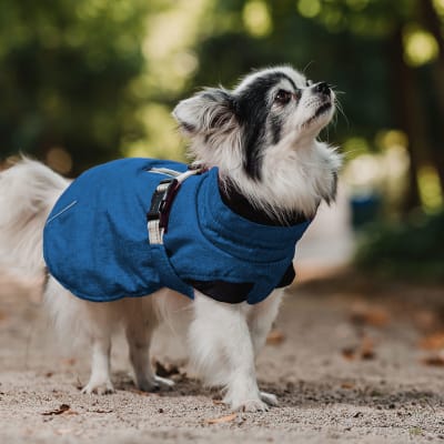 Parka dry & comfy color Azul1