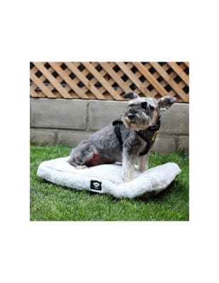 Colchón Antiestrés BRNX lavable Talla M