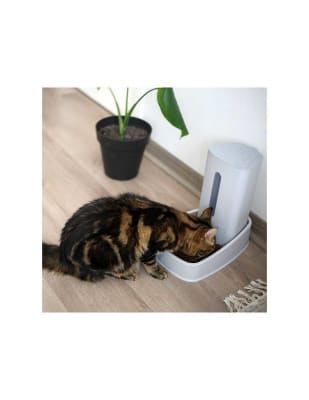 BRNX ALIMENTADOR DESIGN GRIS