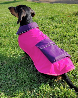 Parka Impermeable y Térmica para perros color Fucsia