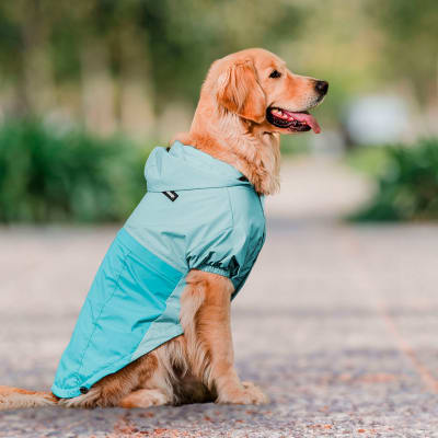 Cortavientos impermeables color Celeste11