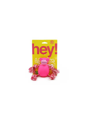 Juguete mono cuerda para perros