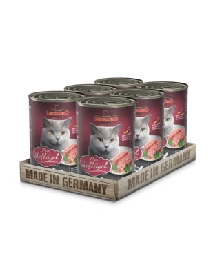 X6 Leonardo Gatos Latas Ave 400 GR1